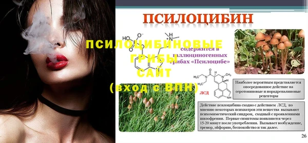 МДПВ Бугульма