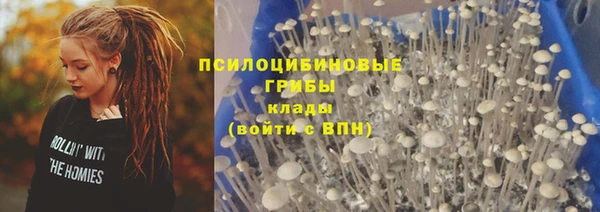 MDMA Богданович