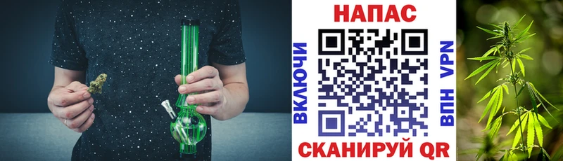 Бошки Шишки SATIVA & INDICA  ОМГ ОМГ онион  Высоцк 